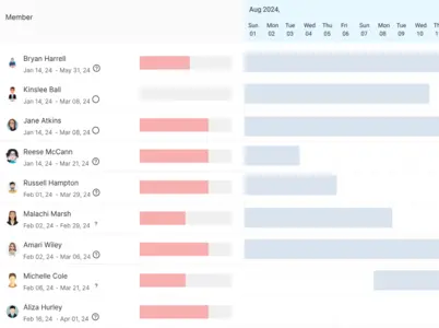 all team members' allocation calendar view