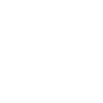 GitHub icon